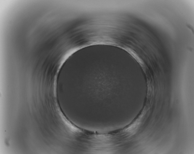 X0000095931246200801181433