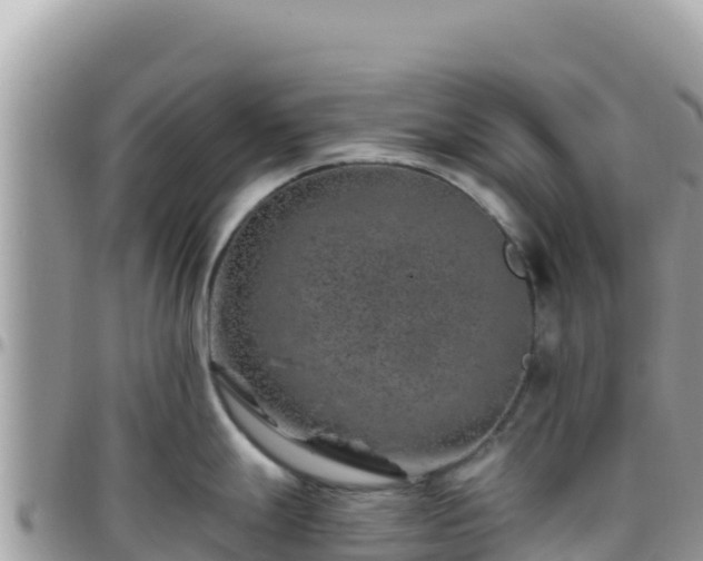 X0000095931247200801181433