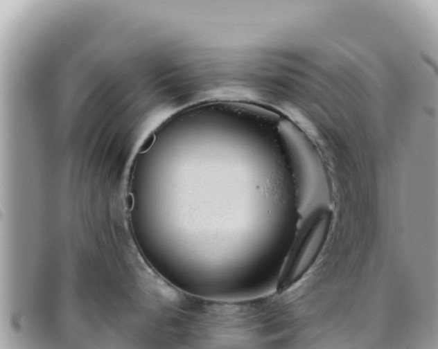 X0000095931248200801181433