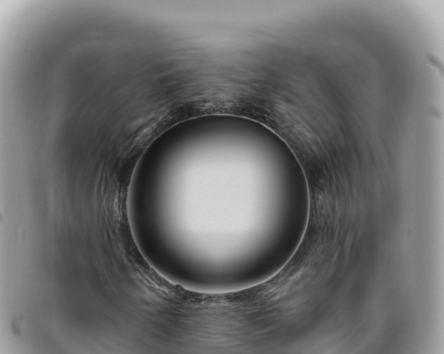 X0000095931250200801181432