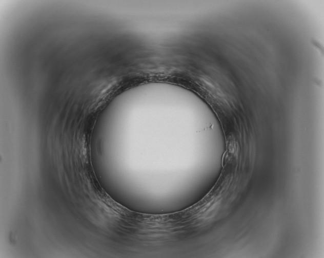X0000095931252200801181432