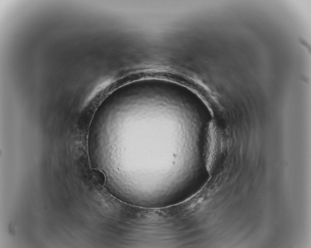 X0000095931255200801181432