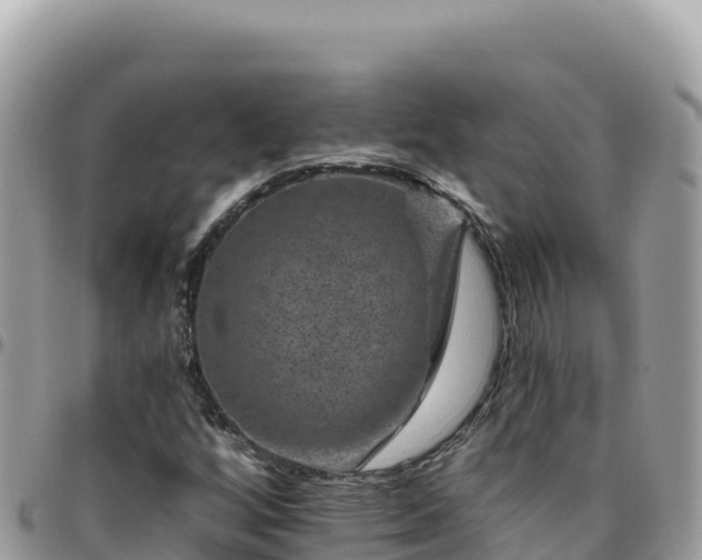 X0000095931256200801181432