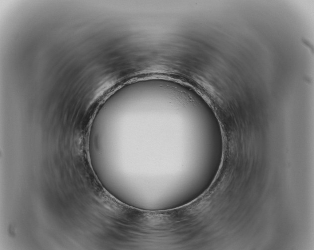 X0000095931258200801181432