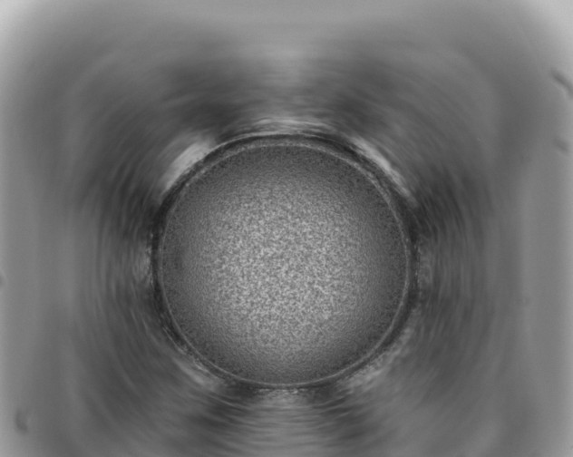 X0000095931259200801181432