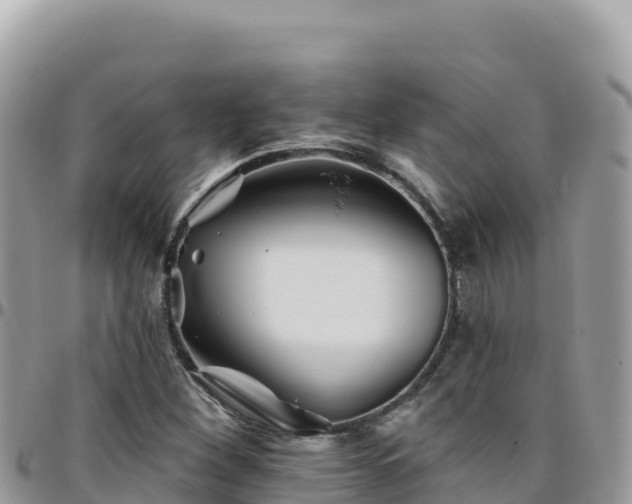 X0000095931260200801181432