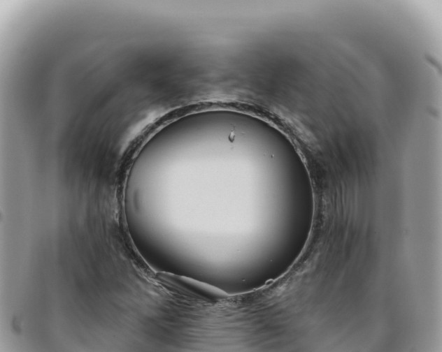 X0000095931262200801181432