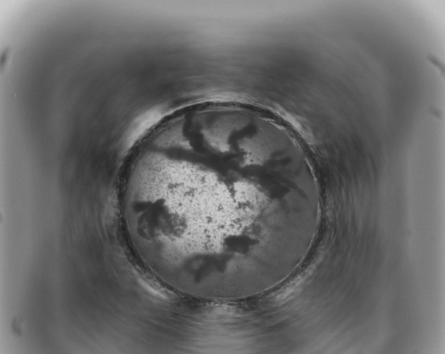 X0000095931263200801181432