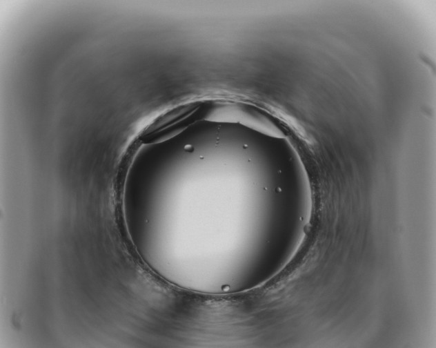 X0000095931264200801181432