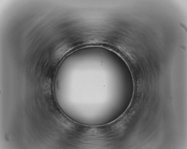 X0000095931265200801181432
