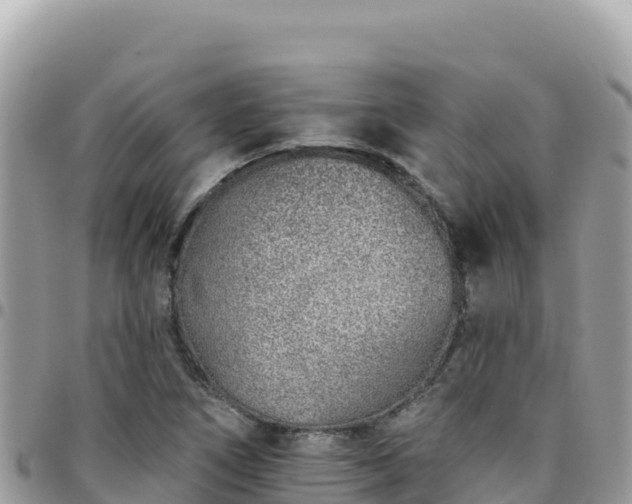 X0000095931266200801181432