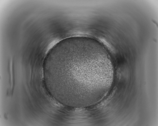 X0000095931267200801181432
