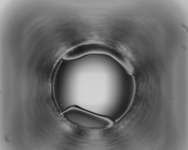 X0000095931268200801181432
