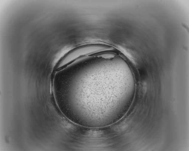 X0000095931269200801181432