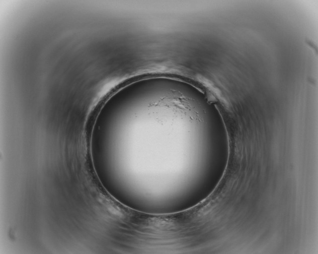 X0000095931270200801181432