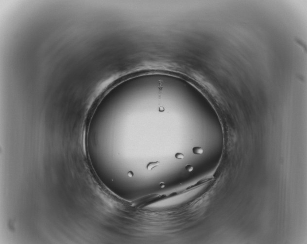 X0000095931272200801181432