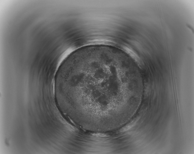 X0000095931275200801181432
