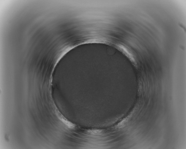 X0000095931276200801181432