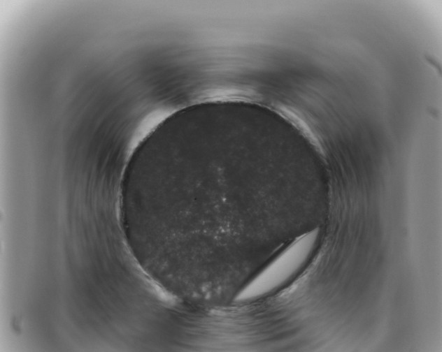 X0000095931277200801181432