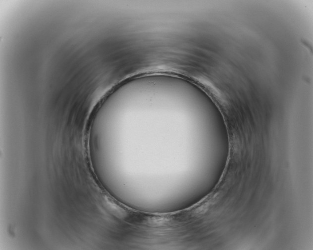 X0000095931278200801181432
