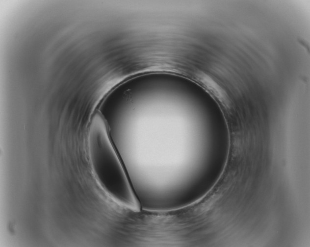 X0000095931284200801181431