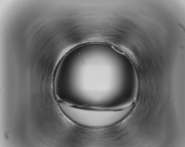X0000095931288200801181431