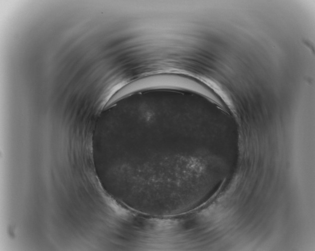 X0000095931289200801181431