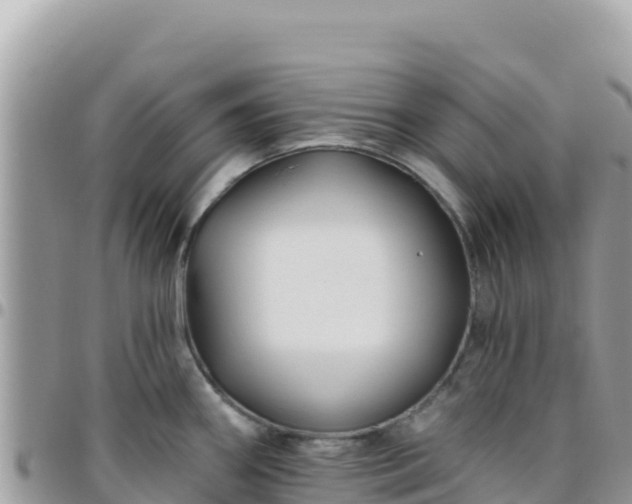 X0000095931290200801181431