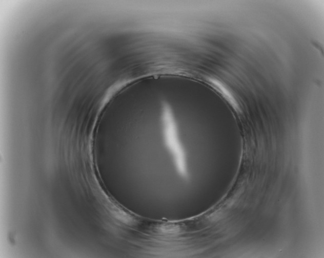 X0000095931291200801181431