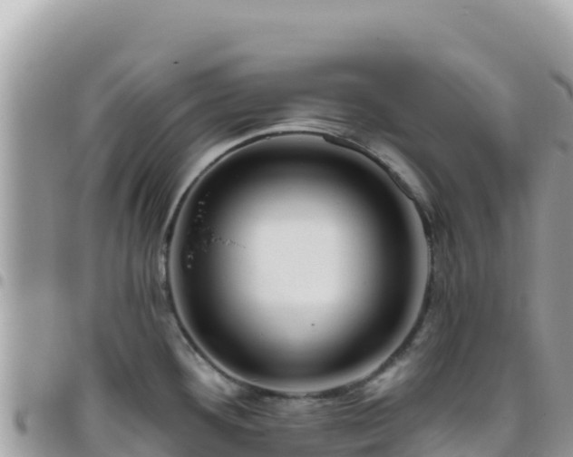 X0000095931292200801181431