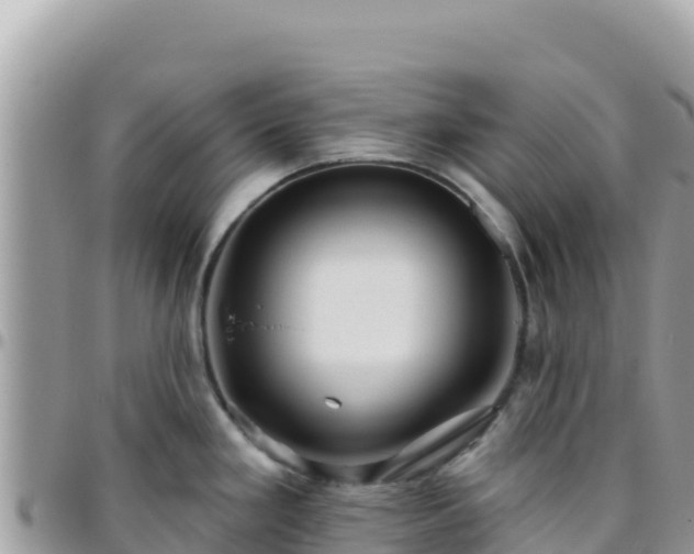 X0000095931293200801181431
