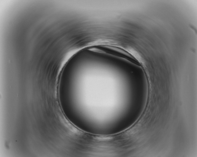X0000095931296200801181431