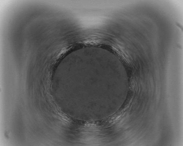 X0000095931297200801181431