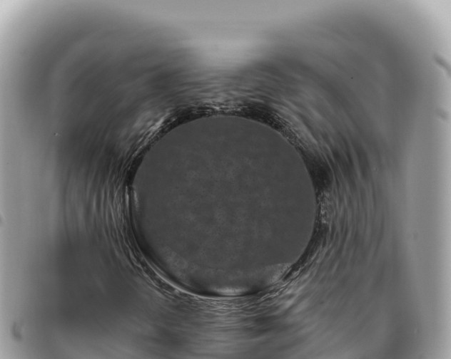 X0000095931298200801181431