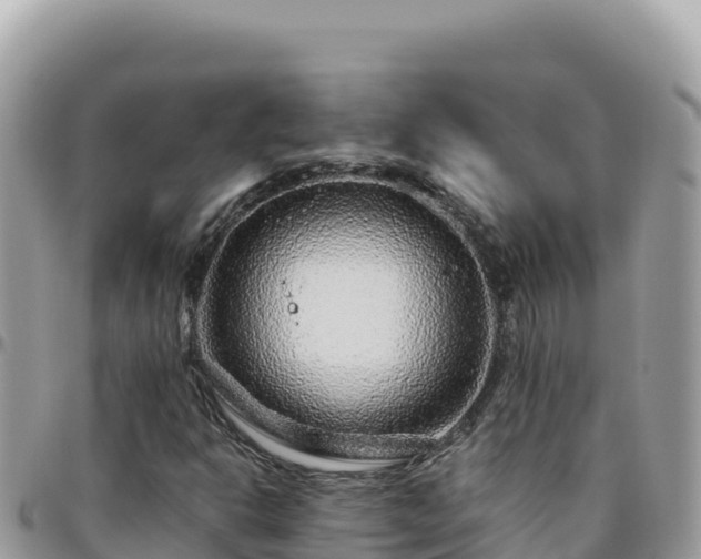 X0000095931302200801181431