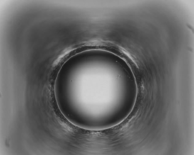 X0000095931304200801181431