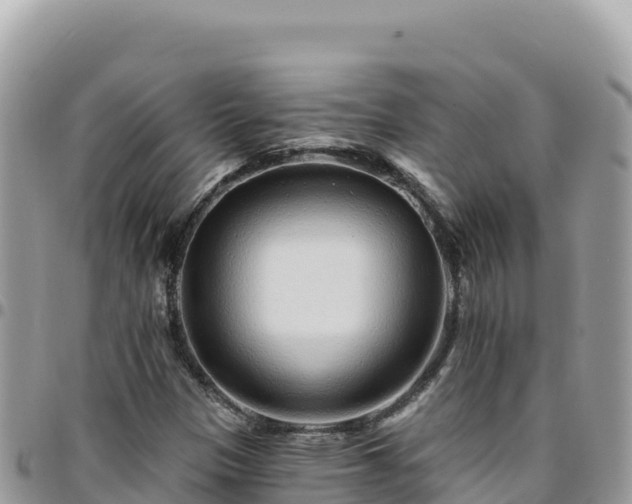 X0000095931305200801181431