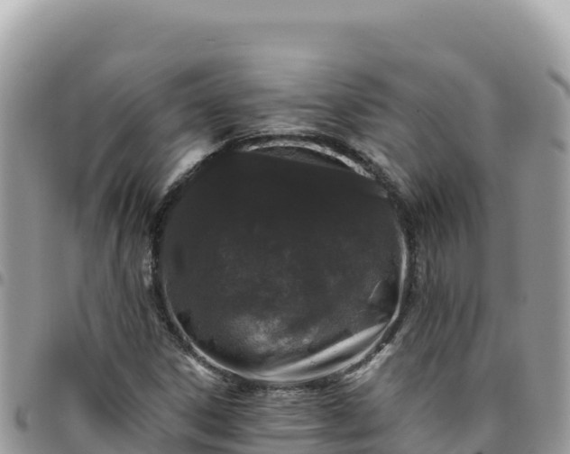 X0000095931306200801181431
