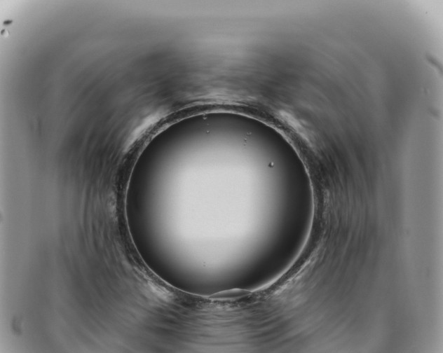 X0000095931307200801181431