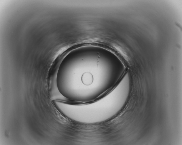 X0000095931308200801181431