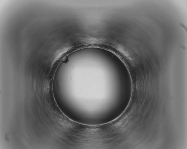 X0000095931309200801181431