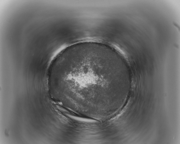 X0000095931310200801181431
