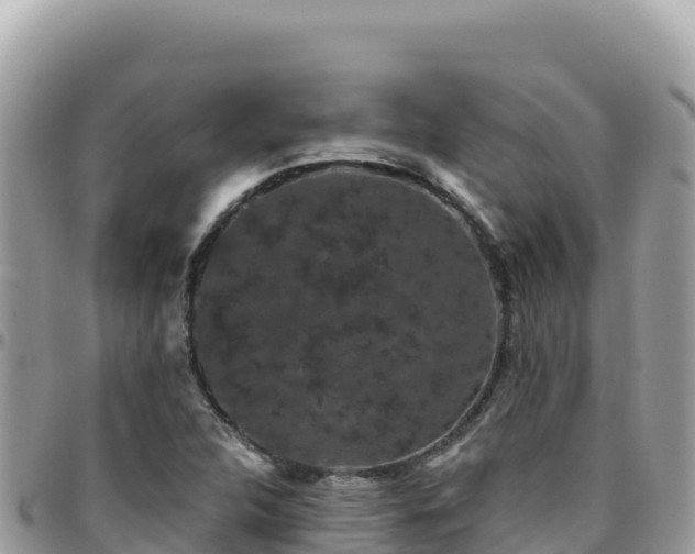 X0000095931312200801181431
