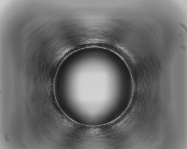 X0000095931313200801181431