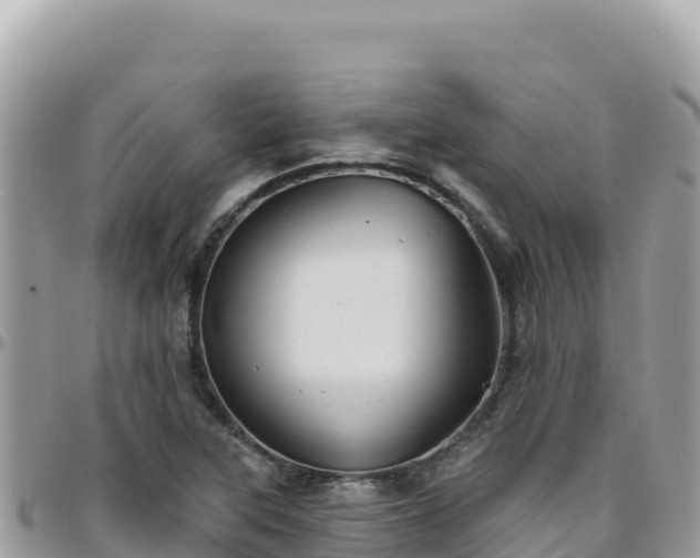 X0000095931315200801181431