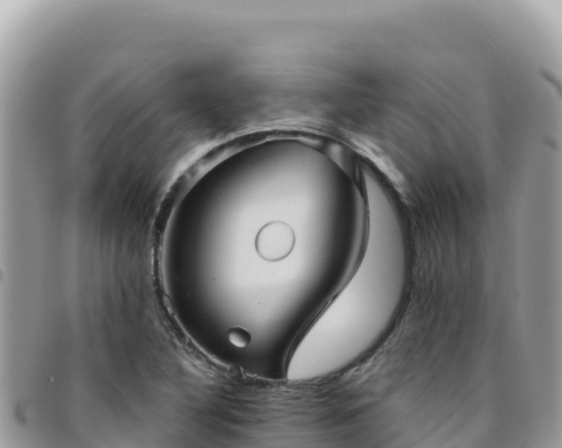 X0000095931316200801181431