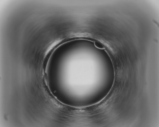 X0000095931317200801181431