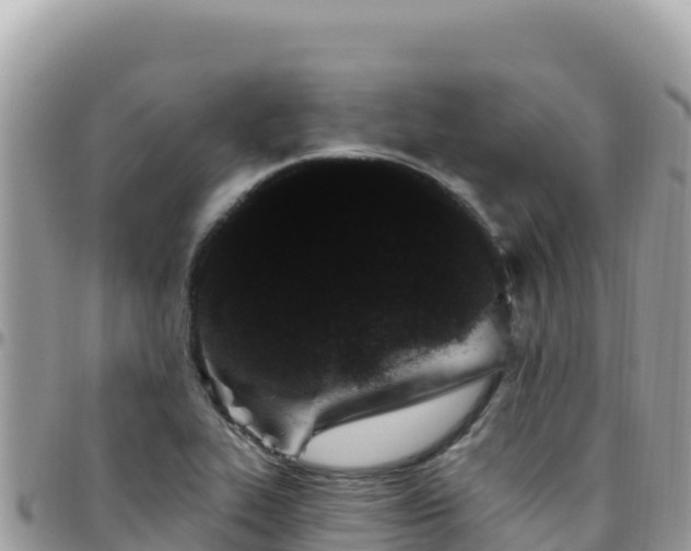 X0000095931319200801181431