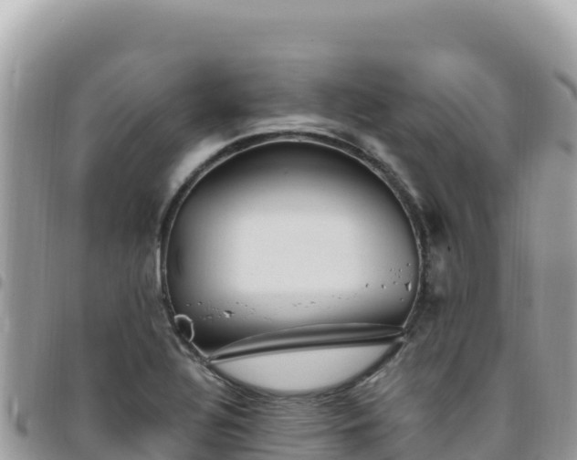 X0000095931320200801181431