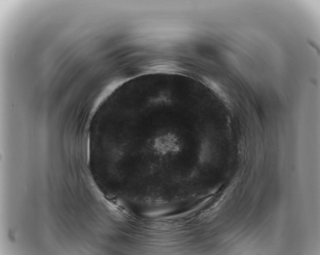 X0000095931323200801181431
